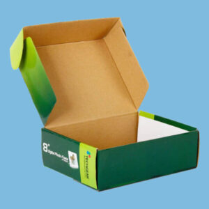 Corrugated Boxes